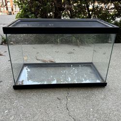 10 Gallon Terrarium