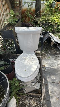 Toilet bowl