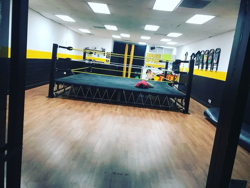 Professional Wrestling ring for sale excellent condition 16x16 6feet