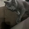 Kilroy 