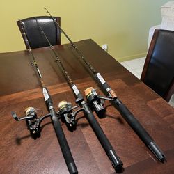 Fishing Rods 