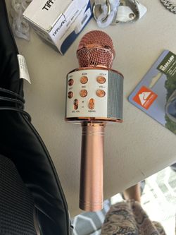 Karaoke Mic, no charger included