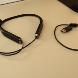 Sol Republic Shadow Wireless Earbuds 