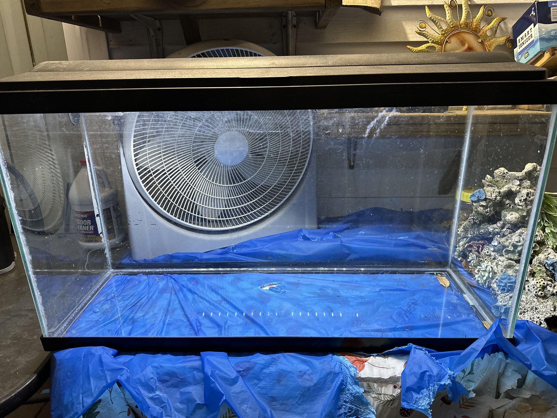 48 Gallon Aquarium Bundle – Complete Setup