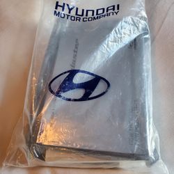 2017 Veloster Owners Manual 