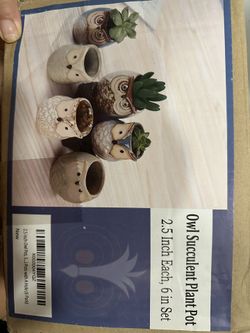 Owl Succulent Plant Pot set of 6