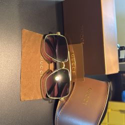 Gucci  Sunglasses 