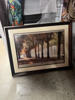 Picture In a Frame
