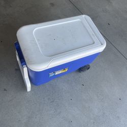 Cooler ice chest