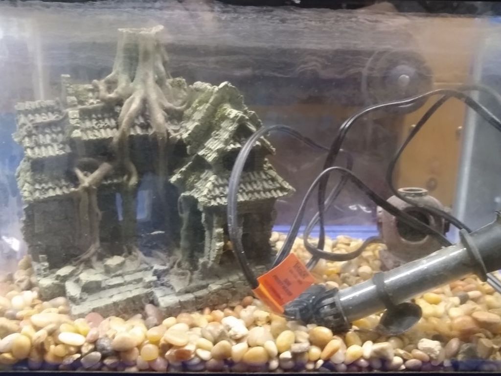 Fish, Reptile Tank With Rocks, Heater And More