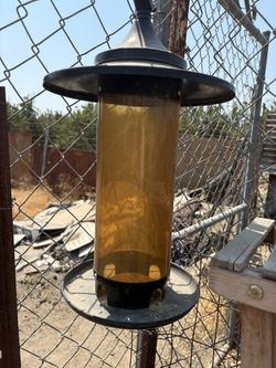Bird Feeder
