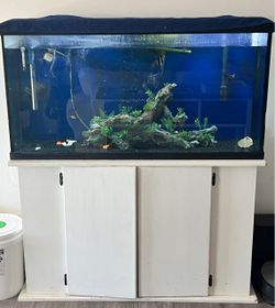 Fish tank