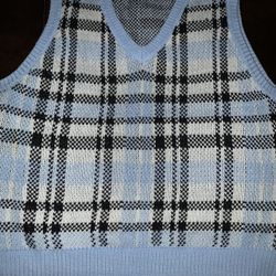 Blue Checkered Sweater Vest