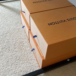    5 Louis Vuitton Shoe  Storage Boxes