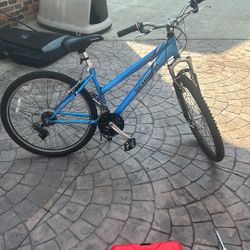 26” Schwinn Bike