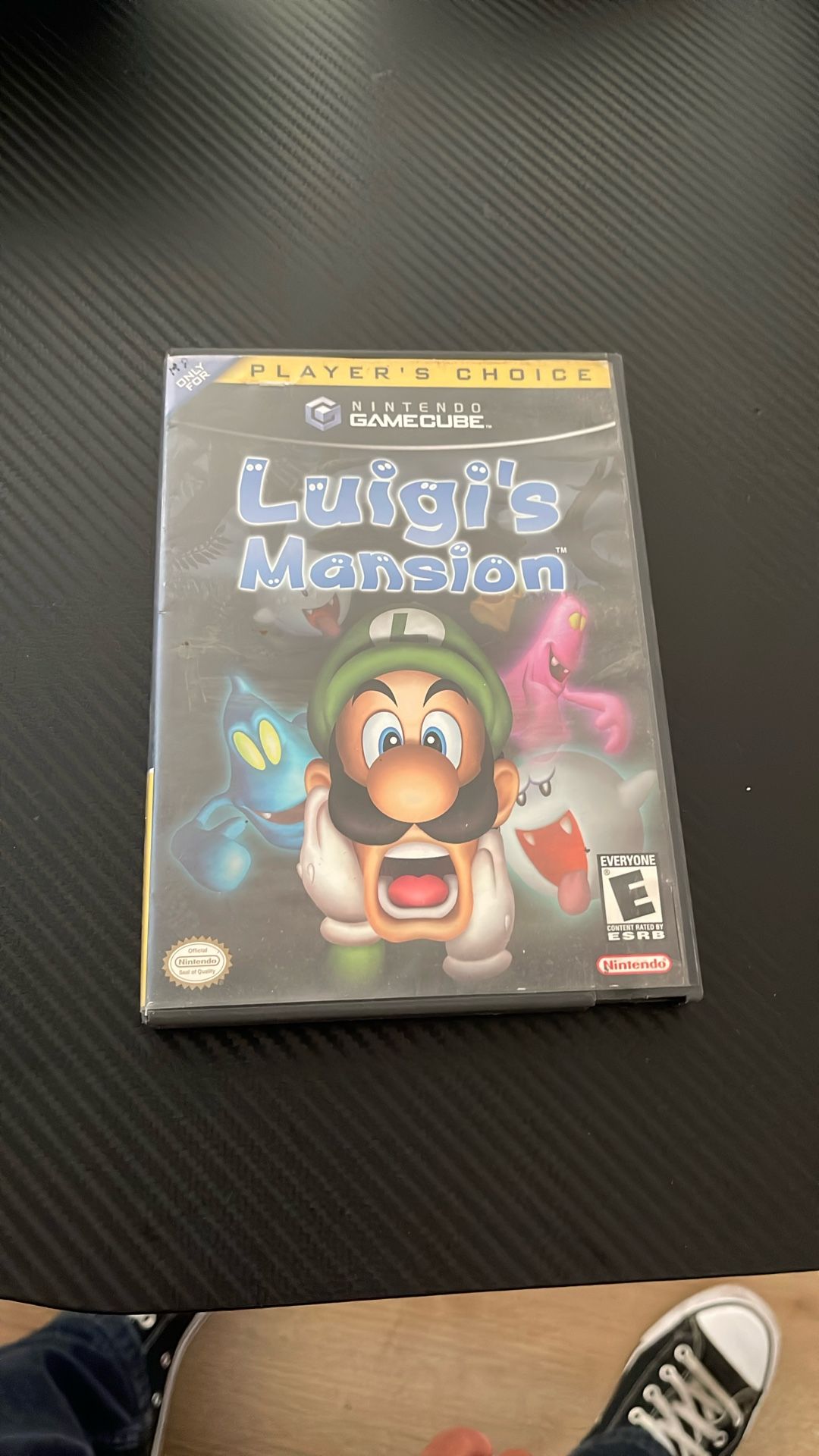 Luigi Mansion