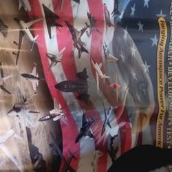 Posters  Airplanes/Rocketsq