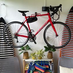 Giant Xl Frame Road Bike 