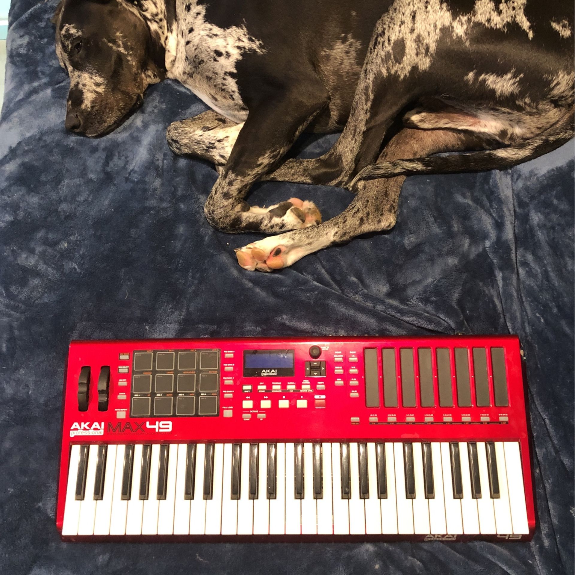 Akai Max 49