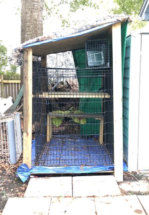 New And Used Dog Kennel For In Myrtle Beach Sc Offerup Large Dog Kennel Turned Into A Kitten Home For In Myrtle Beach Sc