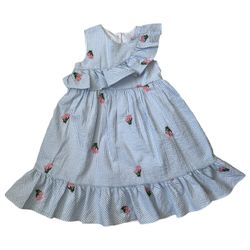 Bonnie Jean flower Easter dress size 5 lining flare spring embroidery blue pink. Embroidered flowers and lined with ruffle bottom Dress in excellent c