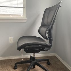 FlexFit Mesh Office Chair With Adjustable Lumbar Support