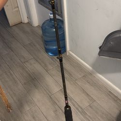 Penn Carnage 2 Rod Conventional 