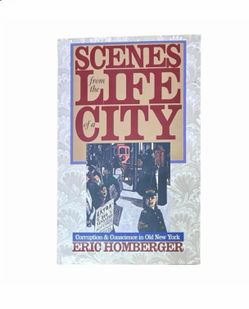 Scenes from the Life of a City: Corruption and Conscience in Old New York Book
