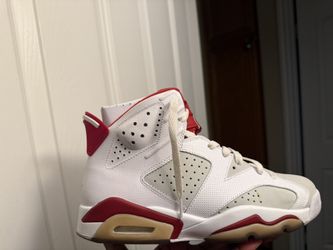 Jordan Retro 6 Alternate Hare