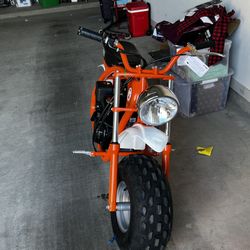 Coleman 2024 bt200x orange