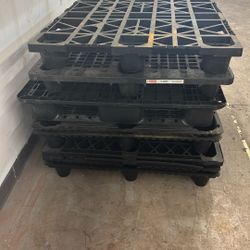 Plastic Pallets -FREE