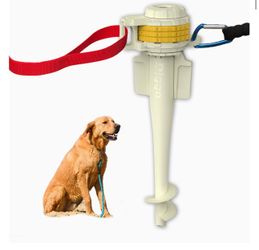 Sand anchor for dog