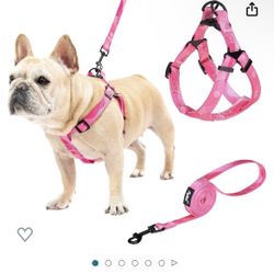 XS Dog Harness - Leash Set of 2