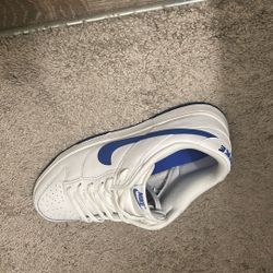 Nike Dunks Low Retro Size 