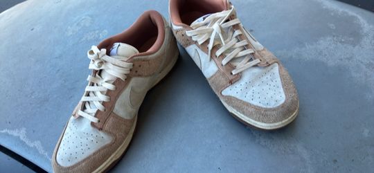 Nike dunks curry s 10.5 men’s