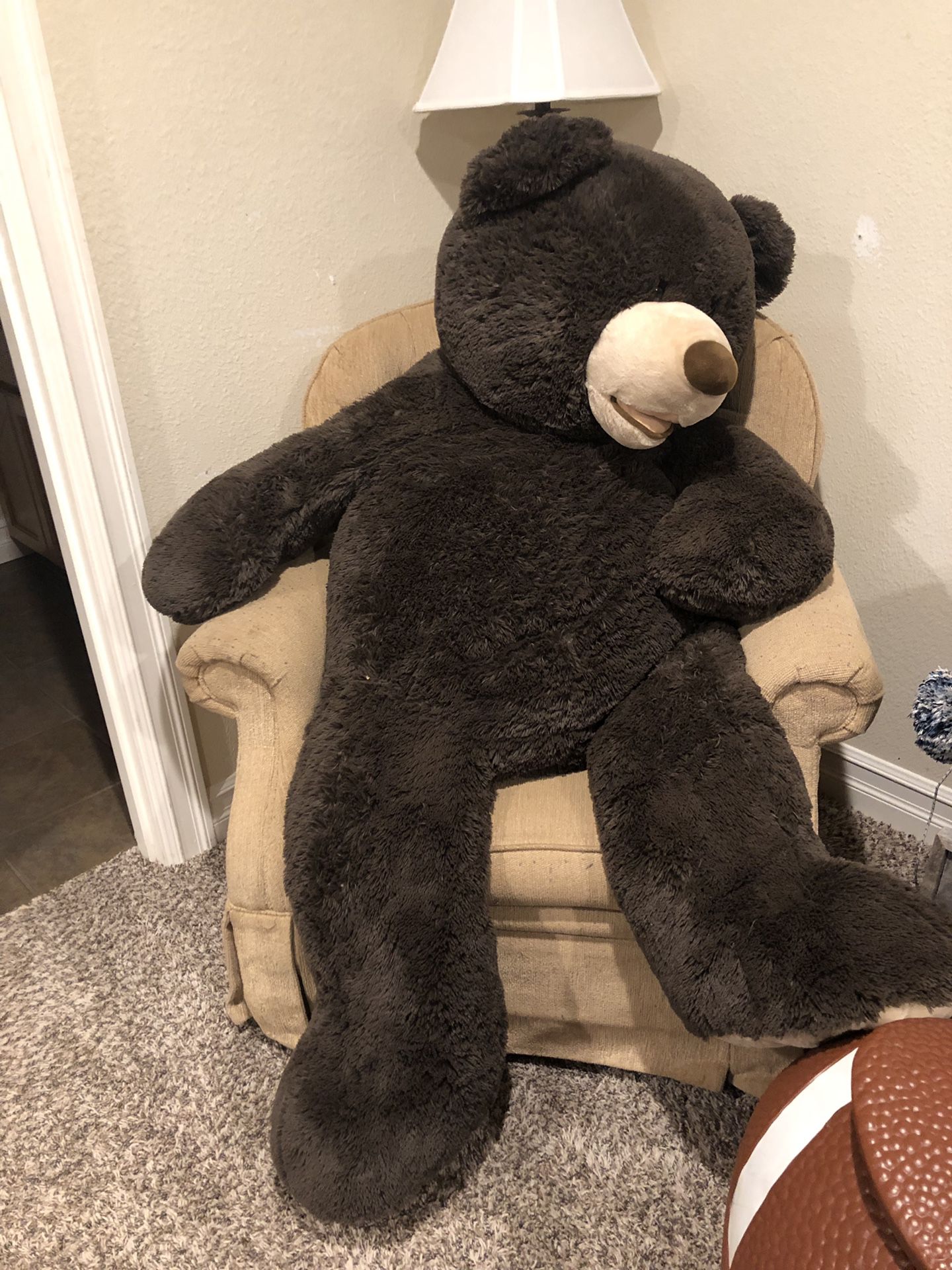BIG Teddy Bear!