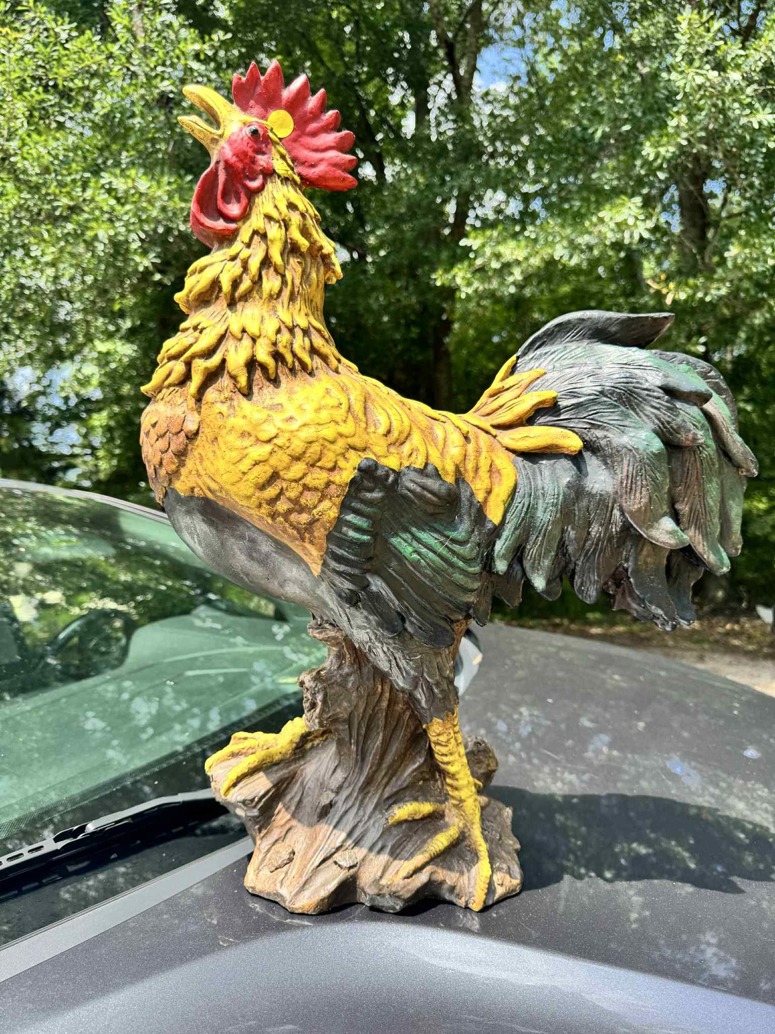 Live Size Big Roster Status