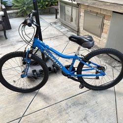 24” 1983 Girls’s Diamond Back Viper-Louis Vuitton Custom Colab  Mountain Bike