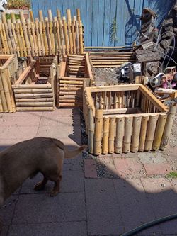 Bamboo planter ss boxes