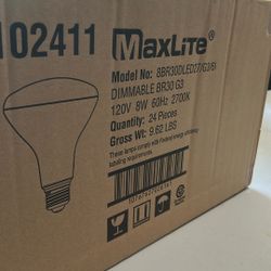 Lightbulbs 