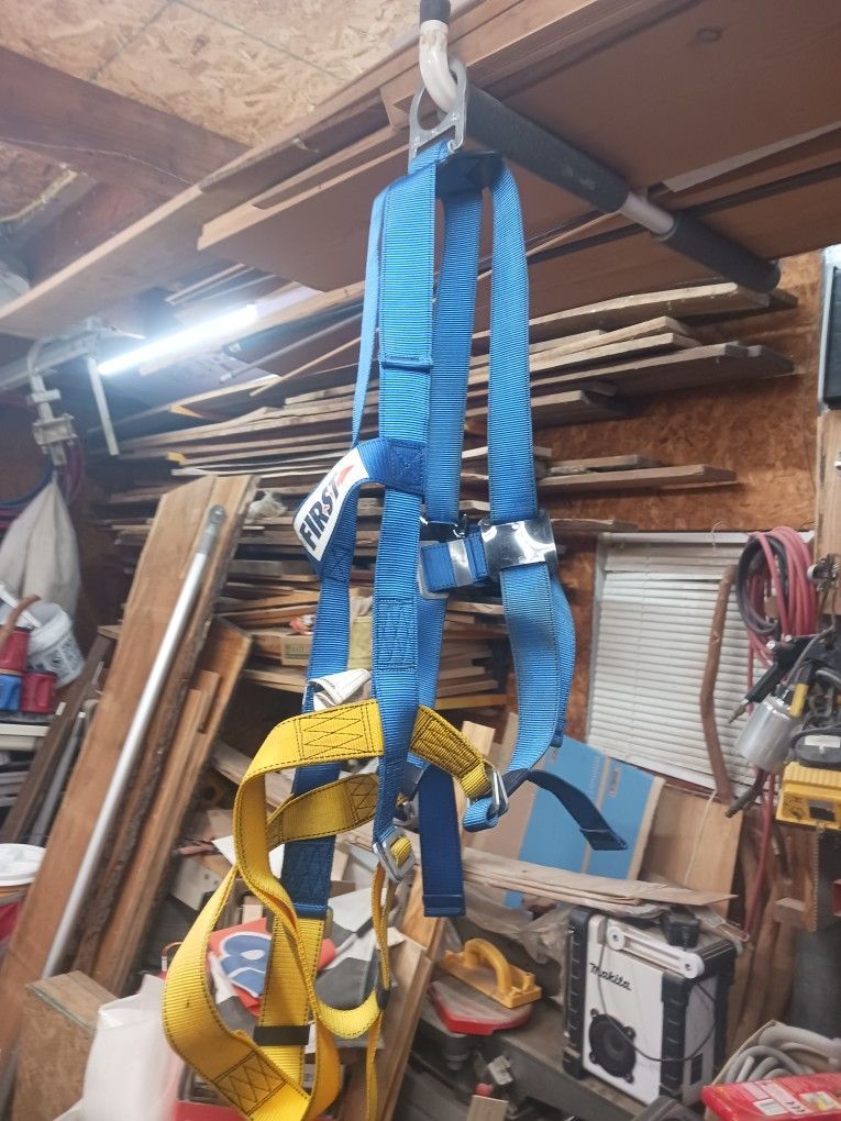 Safety Harness With Lanyard
