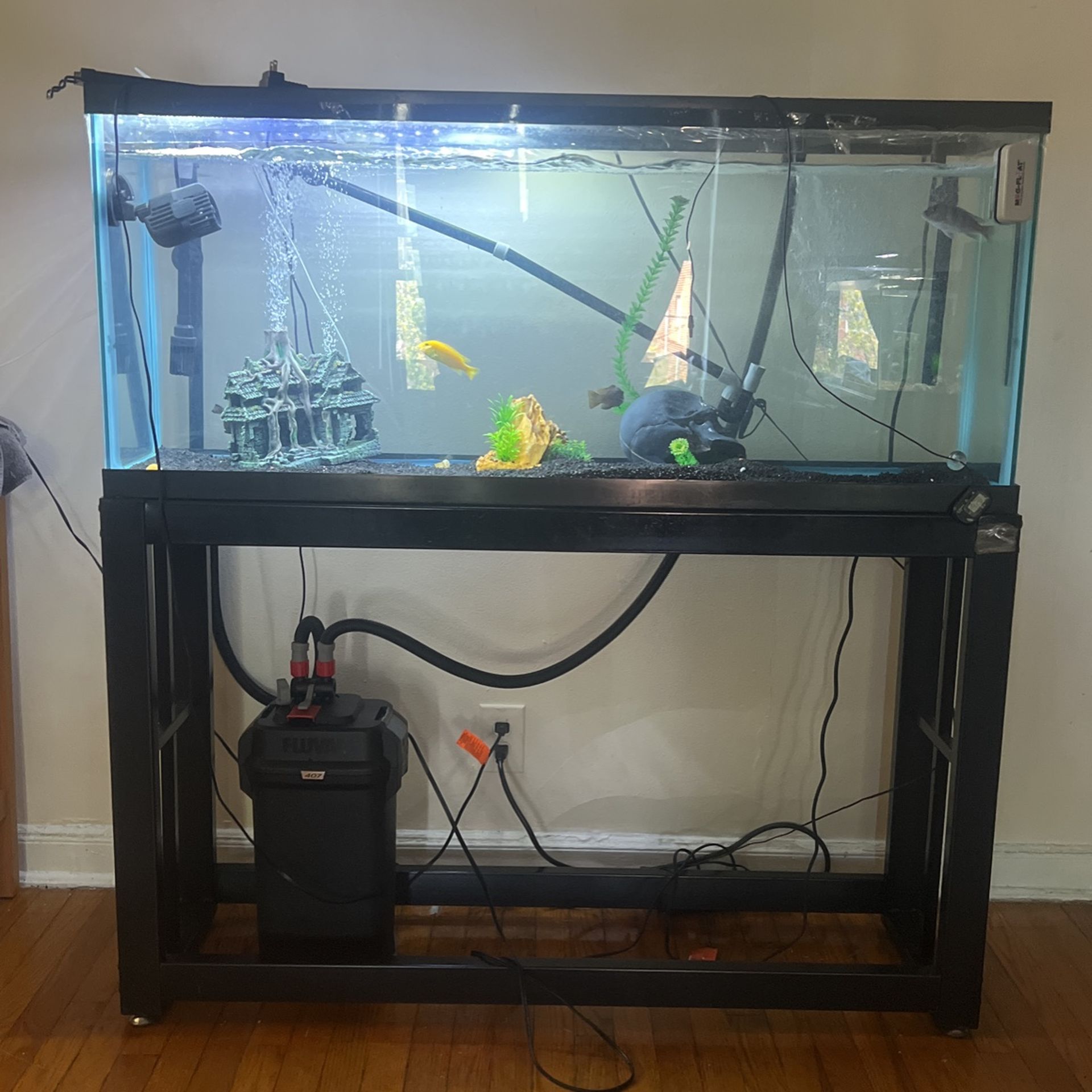 55 Gallon Aqueon 