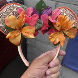 Mickey Ears