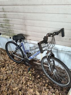 Triax Mountain Bike