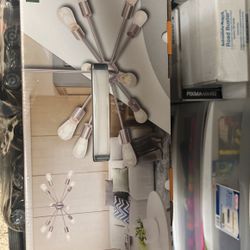 Ceiling Light