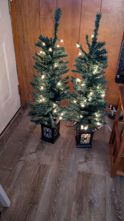 Christmas Trees