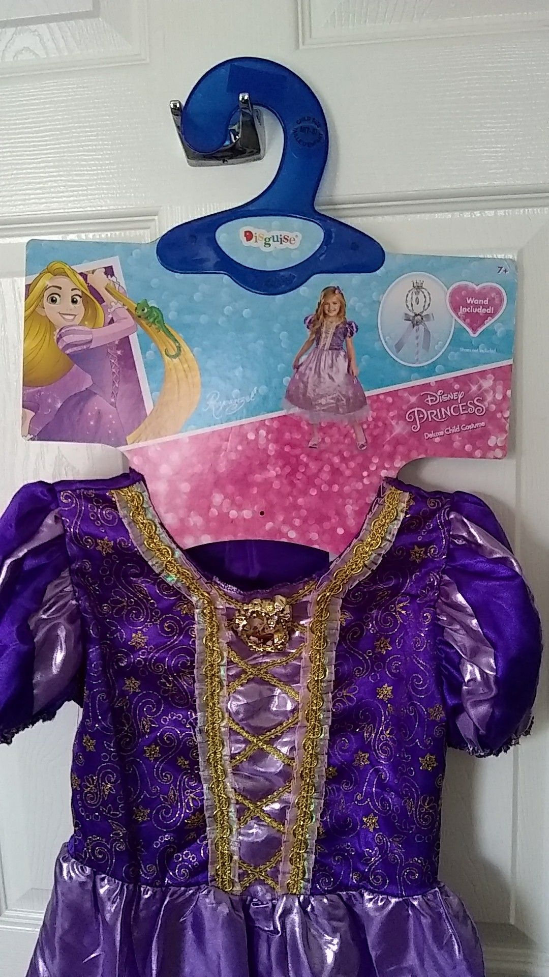 Rapunzel Costume