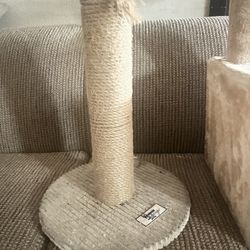Cat Houses And Scratcher 