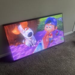 Roku 65 Inch Tv