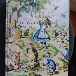 Alice In Wonderland Illustrated Hardback Book
